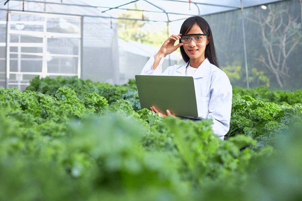 Жінка-ботанік, генетик або вчений з ноутбуком працює в теплицях, повних рослин
. - Фото, зображення