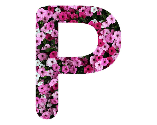 An isolated letter "P" composed of pink petunia flowers on white background - Fotó, kép