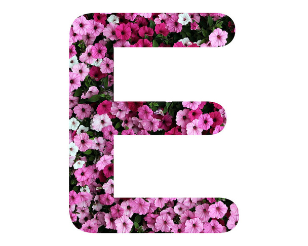 Az angol "E" betű illusztrációja fehér alapon, virágmintával - Fotó, kép