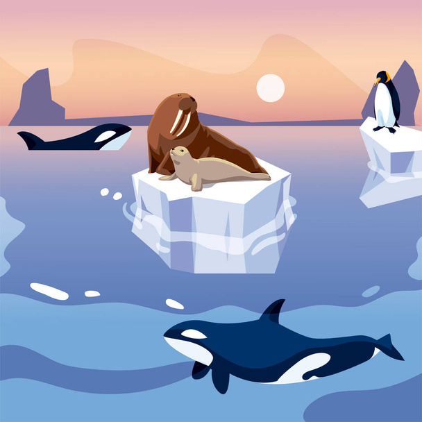walrus and penguin on iceberg orca whales in the sea - Vector, Imagen