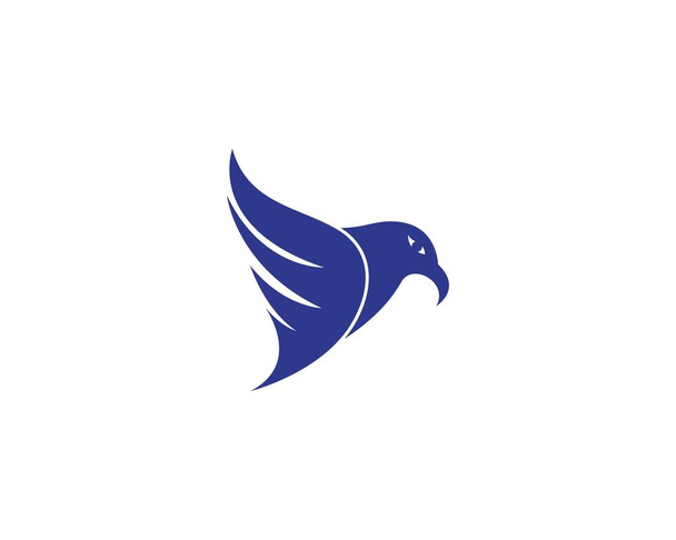 Шаблон логотипа птицы-сокола - Вектор,изображение