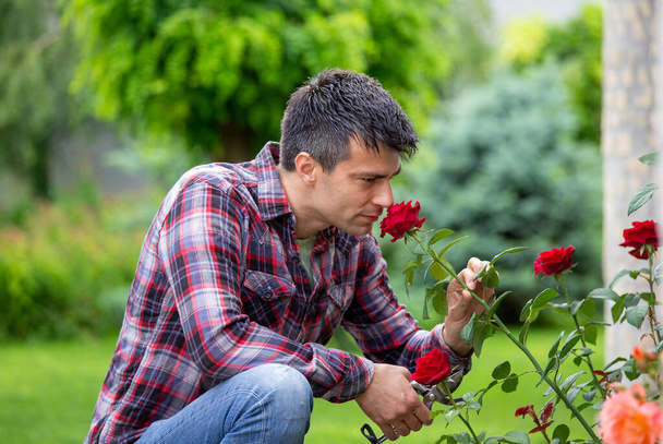 Handsome young gardener with scissors smelling beautiful red rose in garden - Foto, Imagem