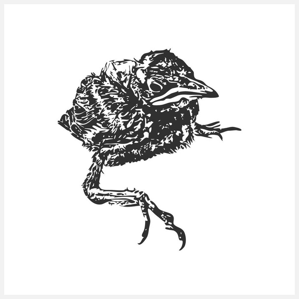 Icono de pájaro Doodle aislado en blanco. Boceto animal. Dibujo a mano vector stock illustraton. EPS 10 - Vector, imagen