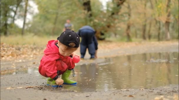 The kid plays in a puddle in the park after the rain in summer. - Footage, Video