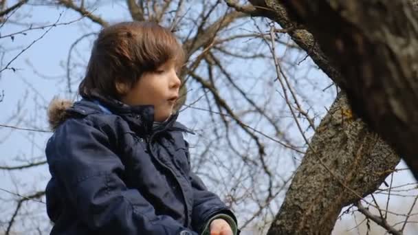Çocuğun geri kalanı baharda parkta dinleniyor. İlkbaharda ağaç tırmanışı. - Video, Çekim