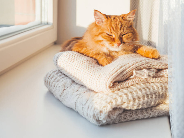 Cute ginger cat sleeps on pile of cable-knitted sweaters. Winter sunset. Fluffy pet on window sill with warm clothes. - Fotografie, Obrázek