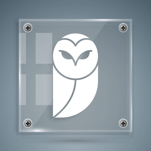 White Owl icon isolated on grey background. Animal symbol. Square glass panels. Vector. - Vector, Image
