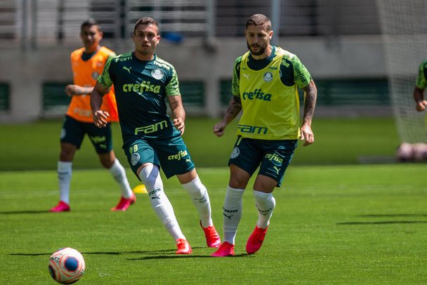 Sao Paulo - February 12, 2020: TRAINING OF PALMEIRAS Players during training on the synthetic lawn. - Foto, afbeelding