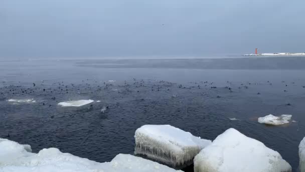 Mar Baltico spiaggia costa invernale Daugavgriva Lettonia - Filmati, video