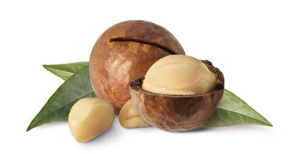 Frische, schmackhafte Macadamia-Nüsse isoliert auf weißem Hintergrund. Bild in hoher Auflösung. - Foto, Bild
