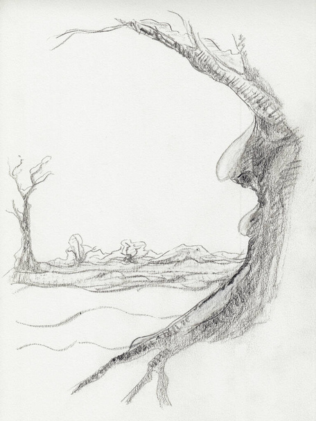 Dibujo a lápiz de un árbol de hoja caduca en invierno. Paisaje invernal. Árbol sin hojas. En el árbol hay una cara visible - Foto, Imagen