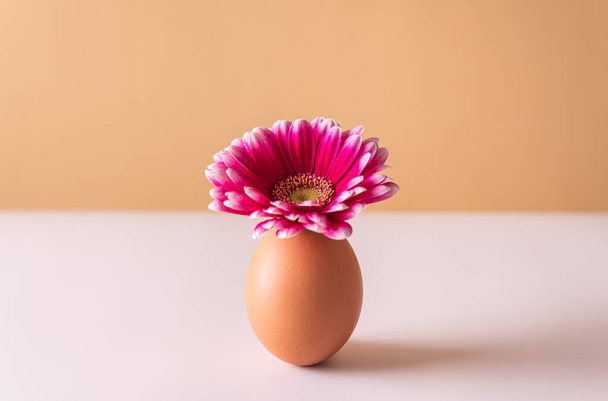 Pink spring flower in egg shell. Easter minimalist concept. - Fotó, kép