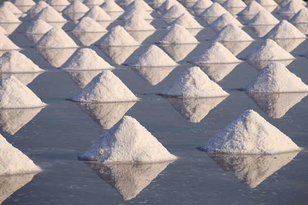 mořská sůl v pánvi - Fotografie, Obrázek