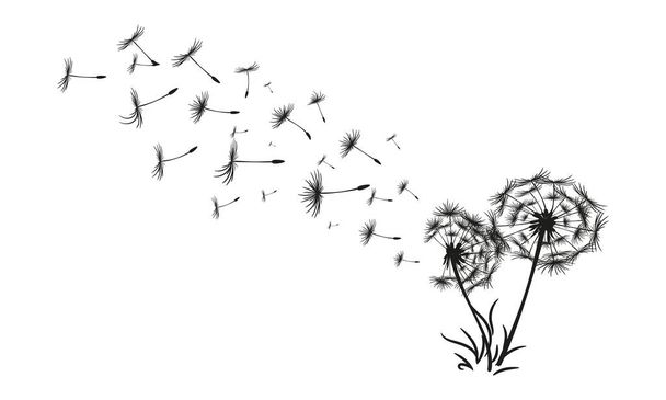 Pissenlit noir abstrait, illustration de pissenlit avec graines volantes - Vecteur, image