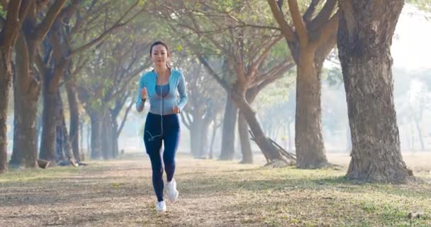 gyönyörű fiatal nő fut a parkban reggel - Felvétel, videó
