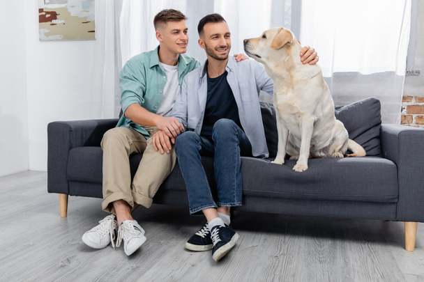 fröhliches gleichgeschlechtliches Paar lächelt und schaut Labrador im Wohnzimmer an - Foto, Bild