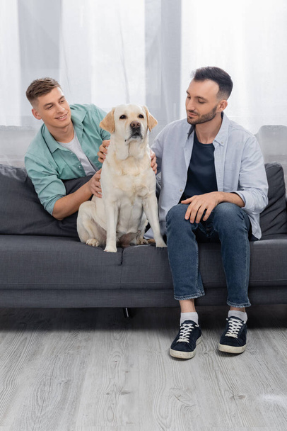 cheerful same sex couple smiling and cuddling labrador on couch - Foto, Imagen