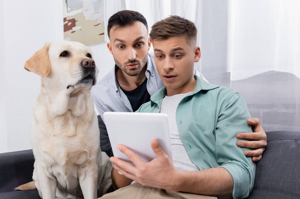 έκπληκτο ζευγάρι του ίδιου φύλου κοιτάζοντας ψηφιακή ταμπλέτα κοντά στο σκύλο στο σαλόνι - Φωτογραφία, εικόνα