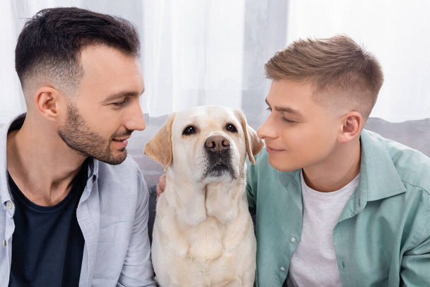 homosexual couple looking at labrador in living room - Photo, Image
