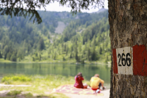 Piękny widok na jezioro Nambino na ścieżce 266 w parku Adamello - Brenta w Trentino, podróże i krajobrazy we Włoszech  - Zdjęcie, obraz