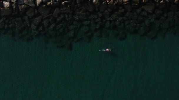 Donna in pinne nuota nel mare - Filmati, video