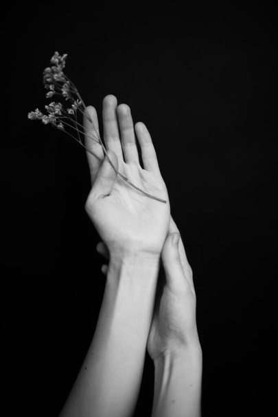 Hands and plants. Dry flowers and herbarium in the hands of a girl, macro photography. Space for text - Foto, Imagen
