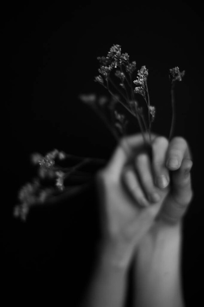 Hands and plants. Dry flowers and herbarium in the hands of a girl, macro photography. Space for text - Photo, image