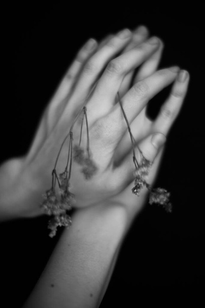 Hands and plants. Dry flowers and herbarium in the hands of a girl, macro photography. Space for text - Photo, image