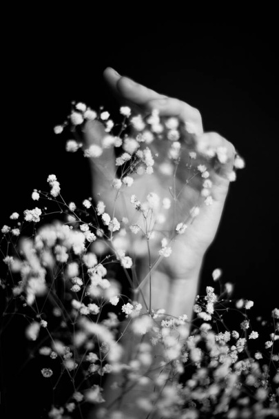 Hands and plants. Dry flowers and herbarium in the hands of a girl, macro photography. Space for text - Foto, afbeelding