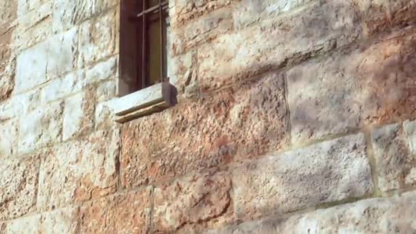 Der Schatten eines Baumes auf einer alten antiken Mauer mit einem Gitterfenster - Filmmaterial, Video