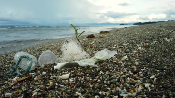 Una playa está contaminada con plástico y residuos. - Imágenes, Vídeo