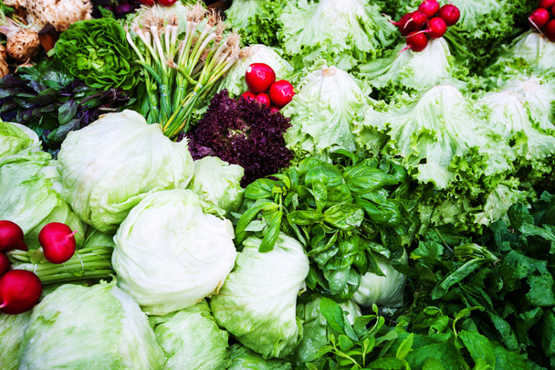 野菜とハーブ - 写真・画像