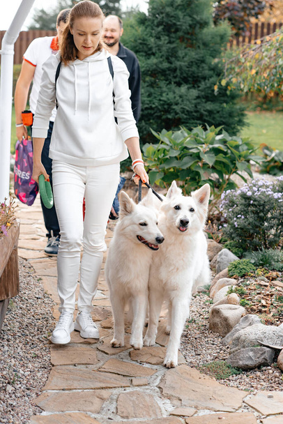 A girl in a white tracksuit leads two white dogs on leashes. Big beautiful white dogs. - Fotografie, Obrázek