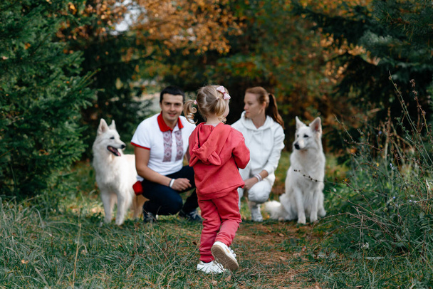 The girl and the parents are walking with the dog in the autumn park. Large white dogs. The concept of happiness and love. - Fotó, kép