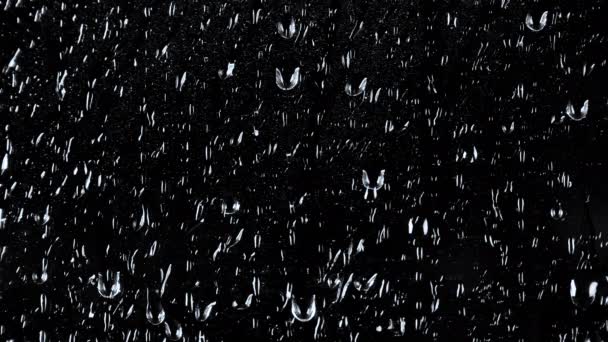 Imágenes en cámara lenta de gotas de agua sobre fondo negro - Imágenes, Vídeo