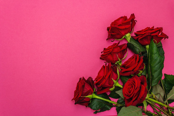 Bukiet świeżych burgundowych róż na matowym różowym tle. Pachnące czerwone kwiaty, pomysł na prezent na Walentynki, ślub lub urodziny, widok z góry - Zdjęcie, obraz