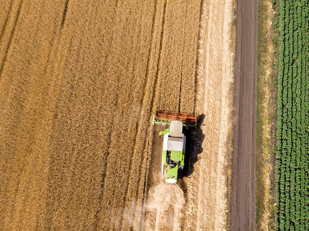 Крупная мощная промышленная комбайновая машина, пожинающая пшеничное поле в яркий летний или осенний день. Сельскохозяйственная техника желтого цвета фон - Фото, изображение