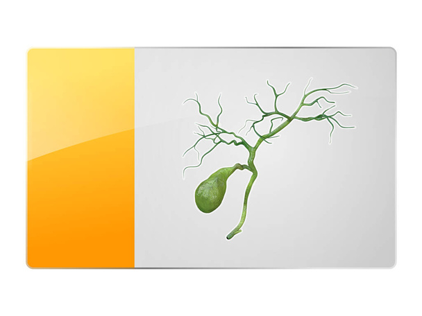 galblaas symbool, knop pictogram voor web design, 3d en 2d grafische - Foto, afbeelding