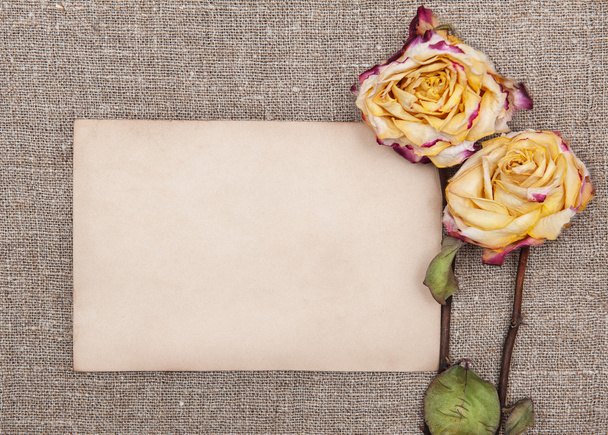 Сухие розы и старая бумага на мешочке
 - Фото, изображение