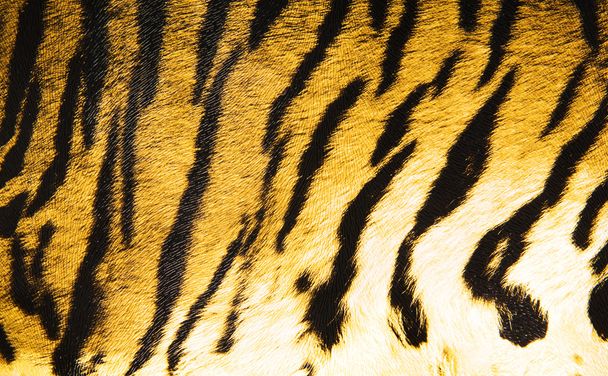 Imitation of tiger leather as a background - Fotografie, Obrázek