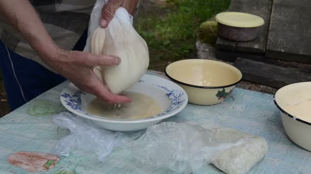 Senior Hand Kartoffelstamm - Filmmaterial, Video