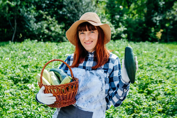 Porträt schöne Bäuerin hält eine Zucchini in einem Weidenkorb mit Strohhut und umgeben von den vielen Pflanzen in ihrem Gemüsegarten. - Foto, Bild