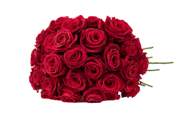 Czerwone róże w tle. Wiele czerwonych róż, ogromny bukiet róż. Bukiet czerwonych róż na białym tle. - Zdjęcie, obraz