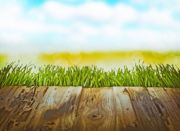 Green grassland on wooden table in sunny summer landscape. - Фото, изображение