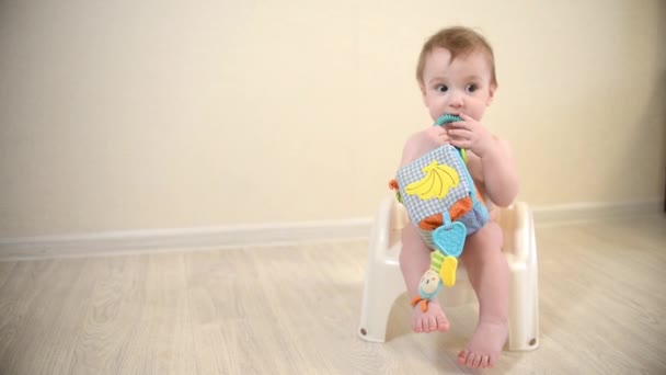 Cute toddler boy, potty training, baby sitting naked on the pot. Toilet training concept - Footage, Video