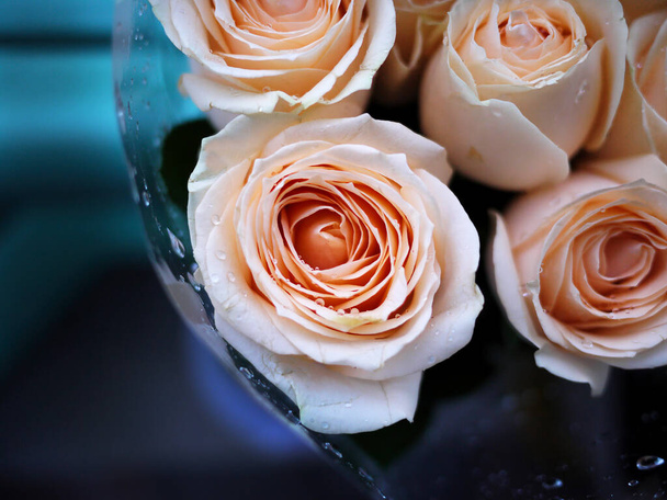 close up μπουκέτο τριαντάφυλλα χρώμα ροδάκινο σε πλαστικό τυλιγμένο - Φωτογραφία, εικόνα