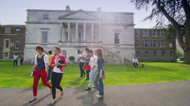 gemengde etniciteit studenten lopen rond de Universiteit - Video
