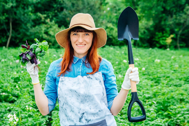 Piękna kobieta rolnik trzyma kilka bazylii i łopaty w słomkowym kapeluszu i otoczony przez wiele roślin w jej ogrodzie warzywnym. - Zdjęcie, obraz