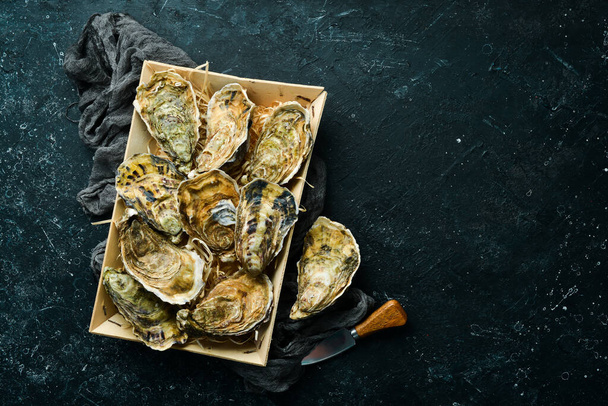 Closed oysters on a stone background. Free space for your text. Seafood. Flat lay. - Foto, Imagem