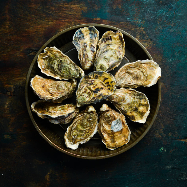 Closed oysters on a stone background. Free space for your text. Seafood. Flat lay. - Foto, Imagem